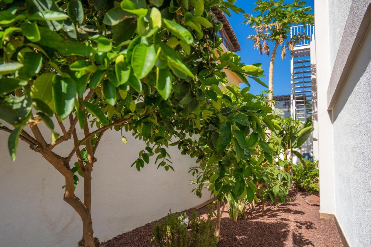Villa La Laja With 5 Bedrooms And Sea View Callao Salvaje Luaran gambar